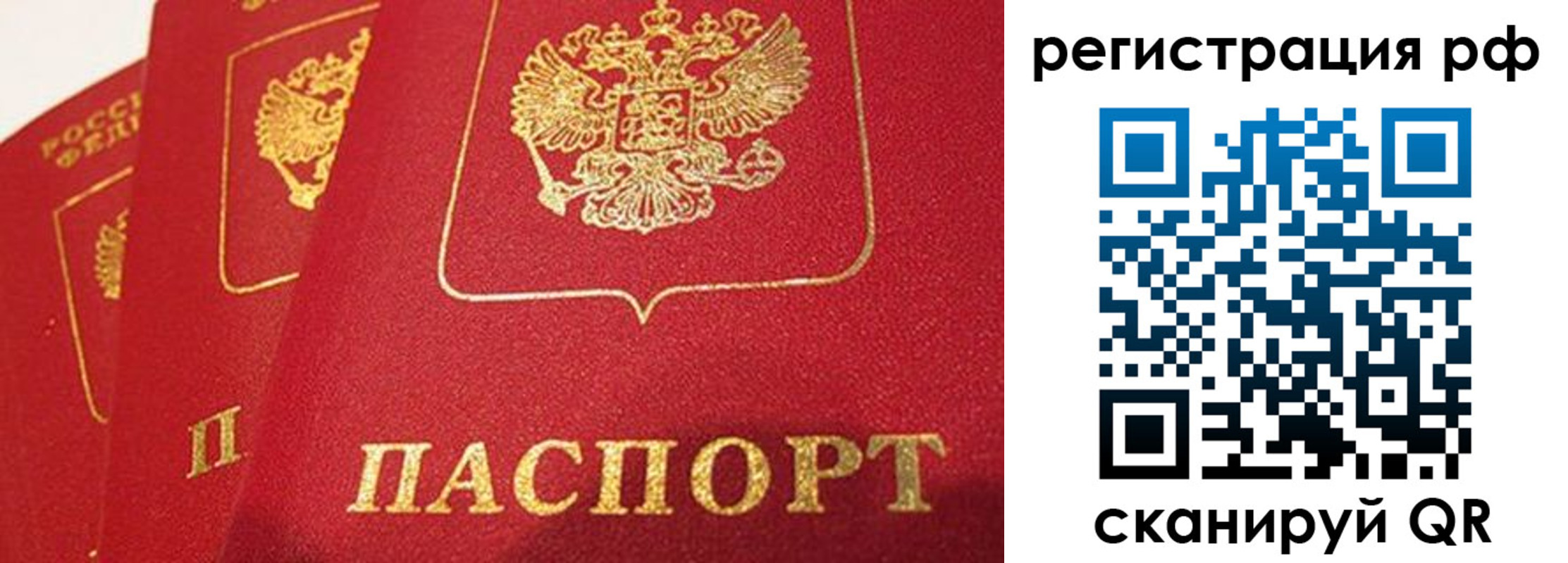 прописка поиск в Гае